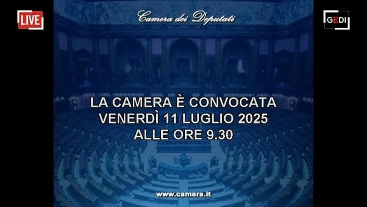 Camera, interpellanze urgenti al Ministro del lavoro Calderone e dell'economia Giorgetti - Diretta
