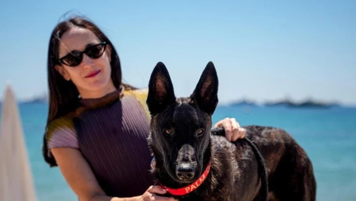 Palm dog, a Cannes vince il cane Yuri. Quando Tarantino venne di persona per celebrare Brandy