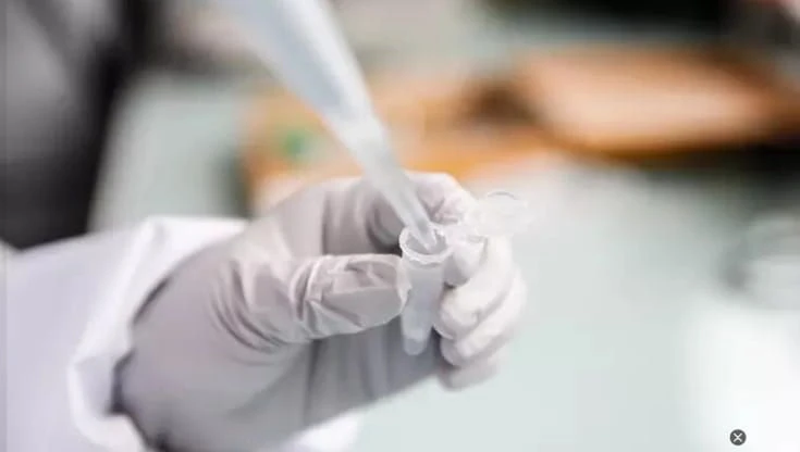 L’Oms: la prossima pandemia può scoppiare ovunque e in qualsiasi momento