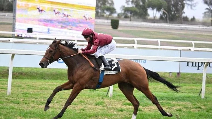 La cavalla di Allegri vince a Capannelle: trionfo di Star of Life nel Criterium