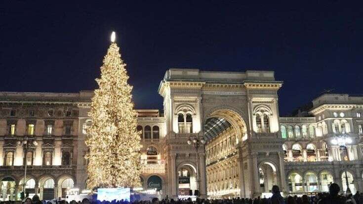 Dai 27 alberi ai mercatini e alle mostre: ecco le iniziative per il Natale di Milano