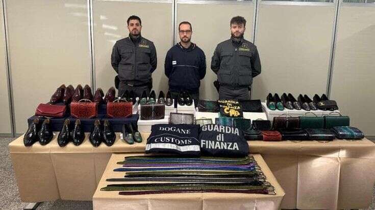 Borse e scarpe di pitoni rari e coccodrillo: 25ene bloccato alla dogana tra Svizzera e Italia