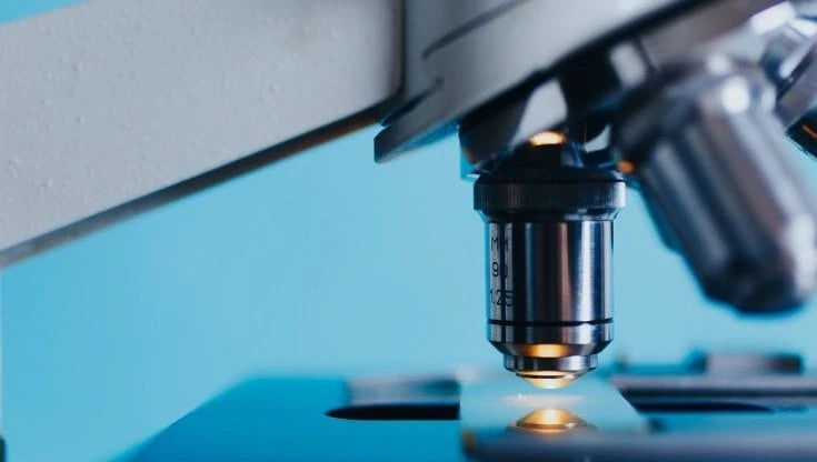 Scoperto il sistema che può portare i tumori ad autoeliminarsi