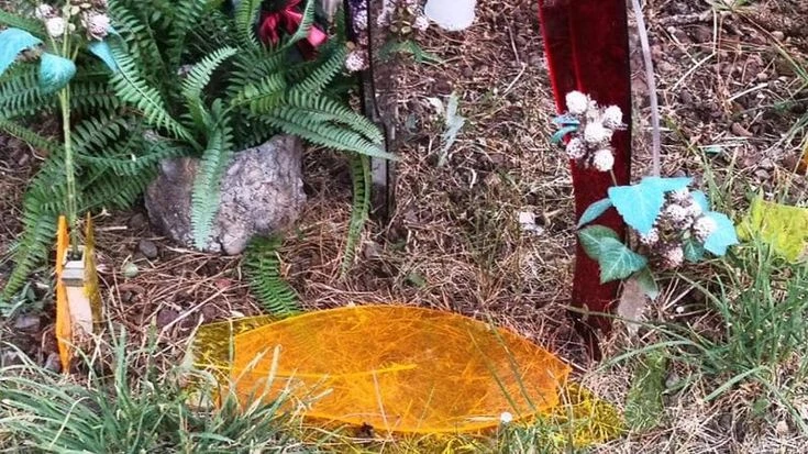 Macerata, vandalizzata la targa in memoria di Pamela Mastropietro