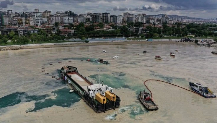 Grecia, allarme all'isola di Lemnos: mucillagine sulle coste