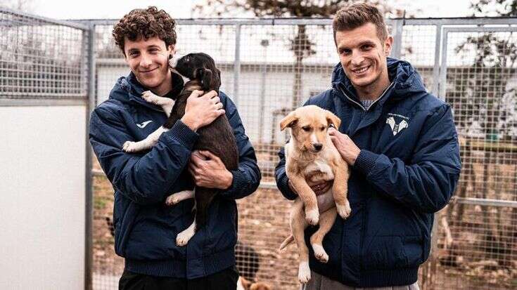 Verona, Milan e Enpa in campo insieme per sette cuccioli del Rifugio del cane e del gatto