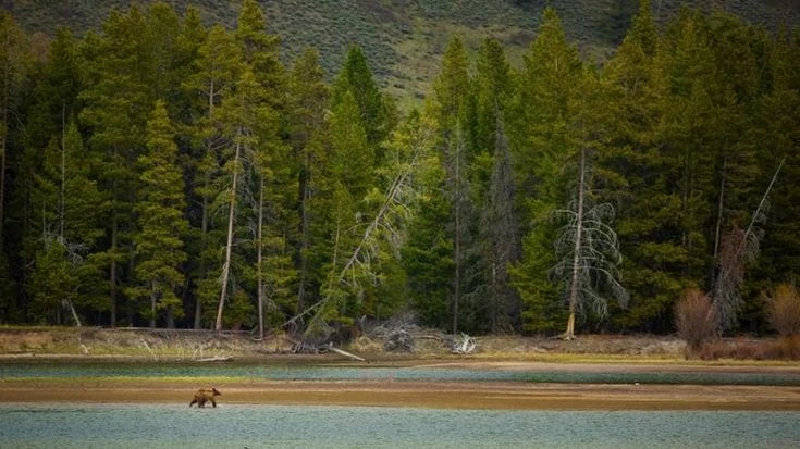 Strage di turisti sulla strada per Yellowstone, anche una italiana fra le vittime