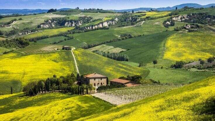 Agriturismi italiani, la fotografia Istat: raddoppiati in 20 anni, 4,5 milioni di turisti nel 2023