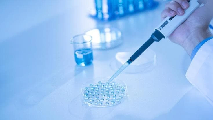 Fertilità maschile in calo dopo i 35 anni. Gli urologi: “Congelate gli spermatozoi”