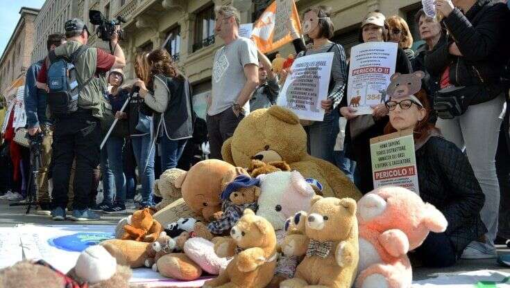 A Milano il flash mob per JJ4 e per gli altri orsi: peluche e cartelli per dire no alla loro uccisione