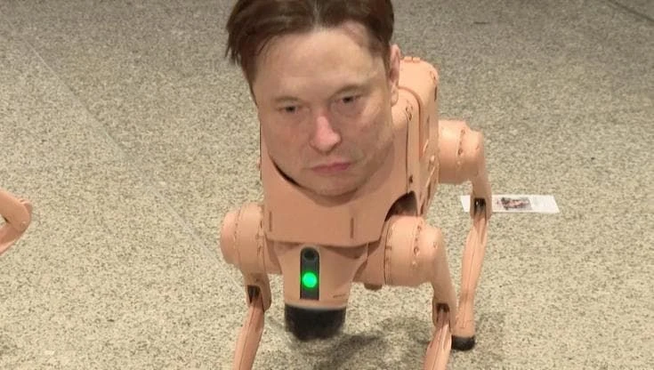 I cani robot con i volti di miliardari tech e dittatori: raccontano un nuovo sguardo sul mondo