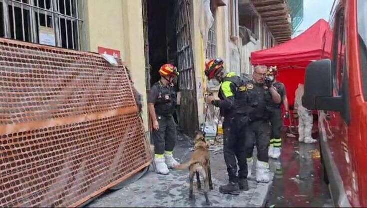 Incendio in via Cantoni, il fiuto del cane Aika per cercare le tracce della pista dolosa