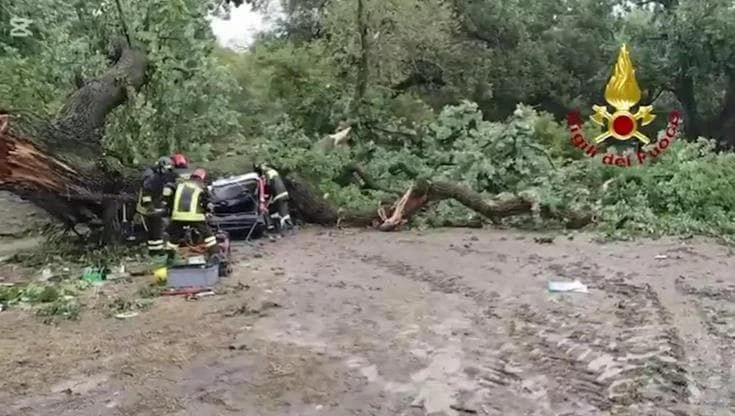 Basilicata, quercia spezzata dal maltempo centra un'auto: un morto e tre feriti gravi