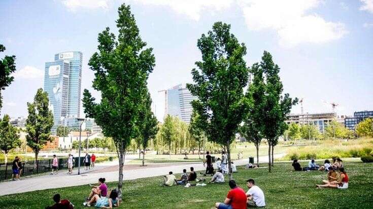 Allerta arancione venerdì 4 agosto a Milano, vietato l’accesso alle aree verdi, chiusi i cimiteri e i mercati sotto gli alberi