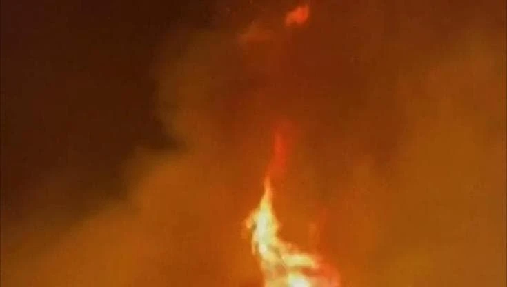 Incendi in Grecia, a Chios le fiamme minacciano un maneggio: la lotta per salvare i cavalli
