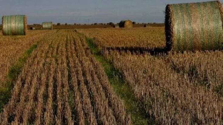 Il primo morto sul lavoro del 2024 è in provincia di Mantova: agricoltore di 57 anni travolto da una rotoballa nella sua azienda