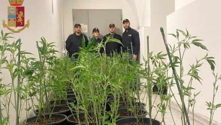 Il tubo dell'acqua perde, arrivano i pompieri e scoprono una serra di marijuana casalinga: arrestato un 21enne