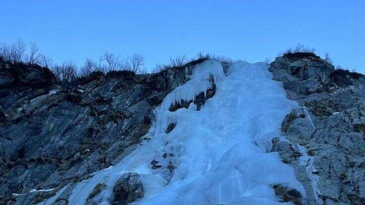 In Valtellina trovato un ecosistema fossile di 280 milioni di anni nel Parco delle Orobie