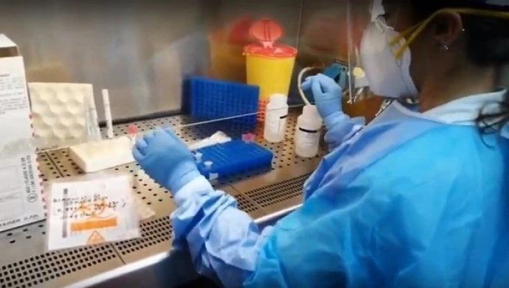 Covid. Così ci proteggono gli Omega 3