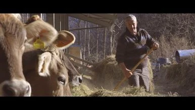 Il gusto delle Alpi: lassù dove nasce il Bettelmatt