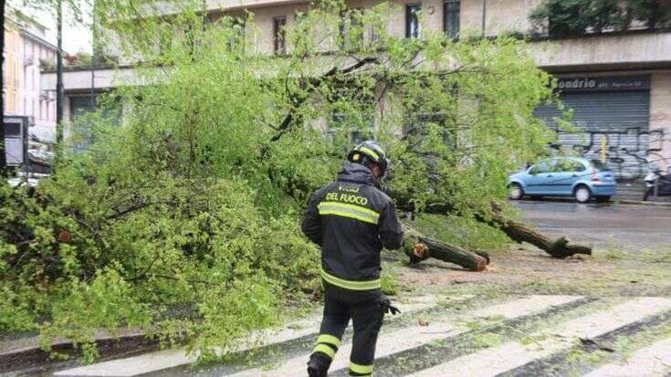 Allarme meteo, annunciato vento a 90 all’ora nel Milanese fino a domattina: “Non sostate sotto gli alberi e assicurate i vasi sui balconi”