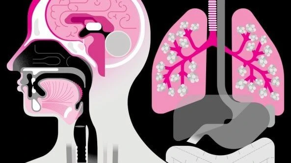 Long Covid, cosa succede al corpo dopo l'infezione 