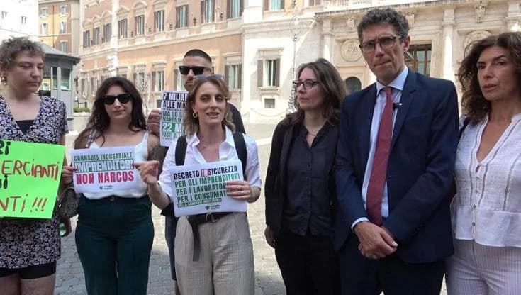 Dl sicurezza, imprenditori di cannabis light protestano a Montecitorio: 