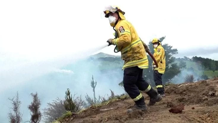 Tempesta devastante in Nuova Zelanda: alberi sradicati, incendi e voli cancellati