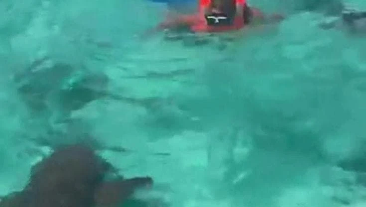 Maldive: il bagno di Francesco Totti tra gli squali