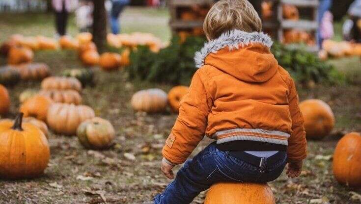 Halloween a Milano e in Lombardia: zucche, scherzi e feste a tema. Ecco tutto quello che si può fare