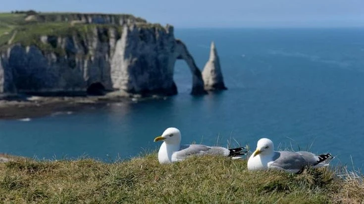 Normandia, la falesia-icona di Monet come la Scala dei Turchi. “Troppi turisti, dobbiamo chiuderla”