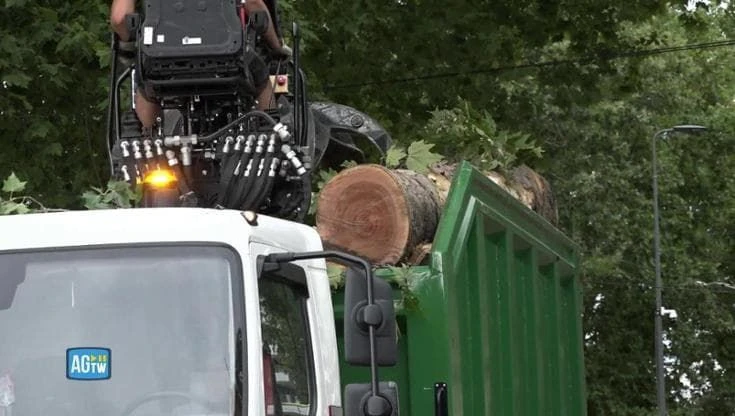 Maltempo a Milano: bomba d'acqua e raffiche di vento sradicano alberi