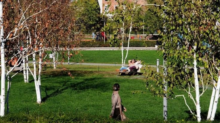 Previsioni meteo in Italia. Rimonta dell’alta pressione. E’ in arrivo l’estate di San Martino