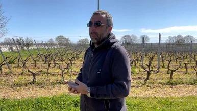 In vigna con Pasquale Petrera: 