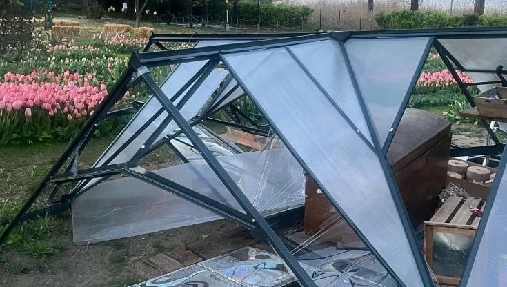 Il vento distrugge la serra inglese al Campo dei fiori di Galbiate: 