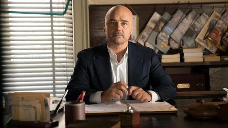 Ascolti tv, Montalbano batte Eurovision 2026
