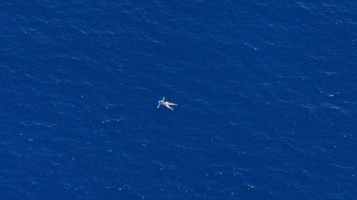Migranti, Sea Watch: “Avvistati cadaveri al largo delle coste libiche”