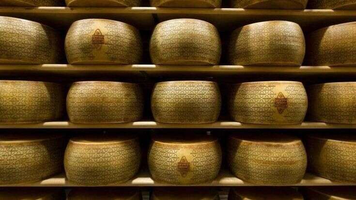 I giovani della filiera del Grana Padano Dop si raccontano online