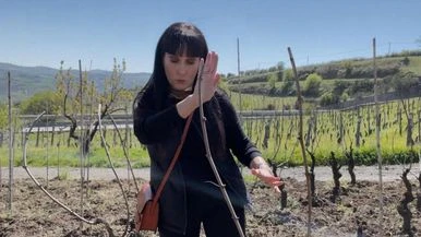 In vigna con Elena Fucci: 