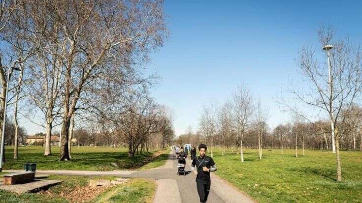 Il parco di Trenno e quello spazio di natura da vivere in pieno