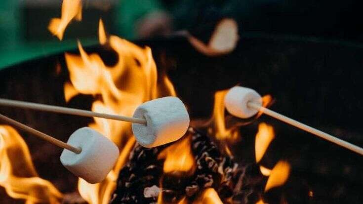 Bambini ustionati all’asilo dalla fiamma per scaldare i marshmallow, le scuse del papà che usò il bioetanolo: “Mi dispiace”