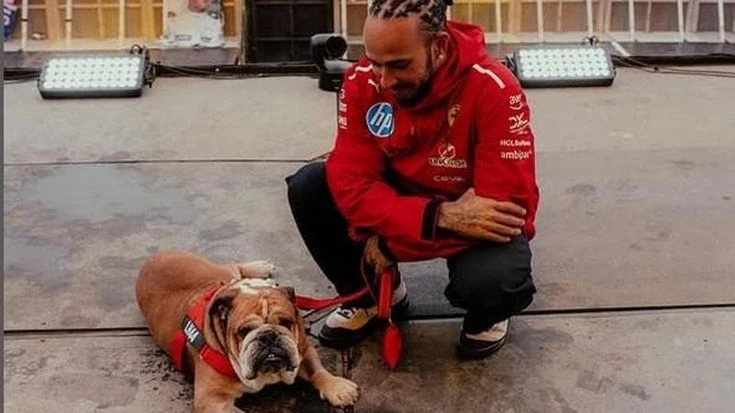 Roscoe, il cane di Hamilton sta male. Il pilota della Ferrari salta i test Pirelli al Mugello