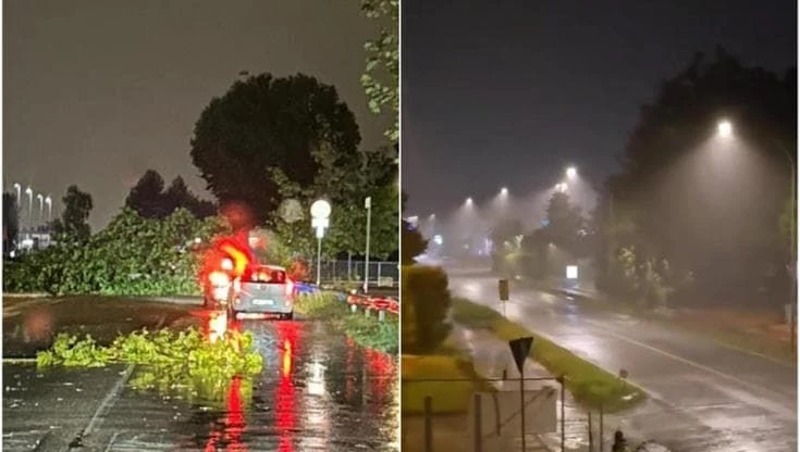 Maltempo Emilia-Romagna, ancora temporali intensi: alberi caduti e treni cancellati