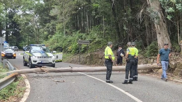 Vuelta, manifestanti abbattono un albero sul percorso della tappa in Galizia