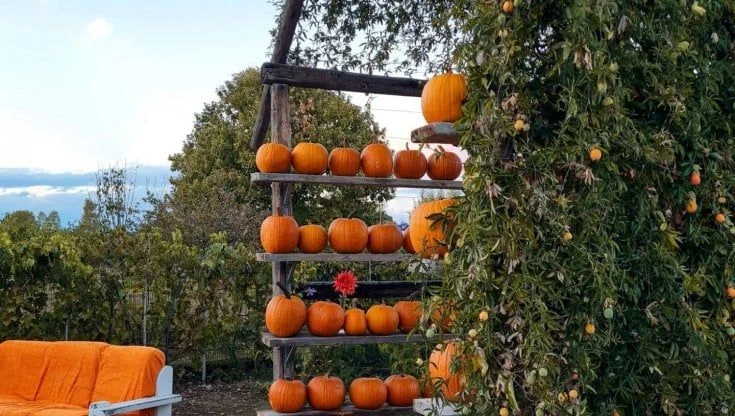 I Ferragnez anticipano Halloween al Campo delle zucche di Nerviano: con Leone e Vittoria le foto al festival dell'autunno