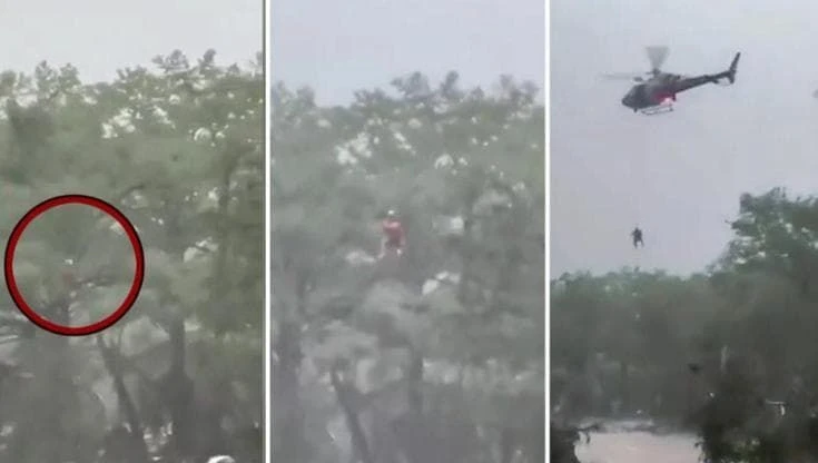 Texas, donna si arrampica su un albero per sfuggire alle inondazioni: il salvataggio