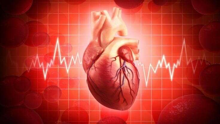 Infarto e ictus, la carta d’identità genetica delle cellule arteriose dirà chi è più a rischio