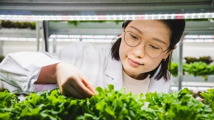 Food-tech, mercato globale oltre i 600 miliardi entro il 2033