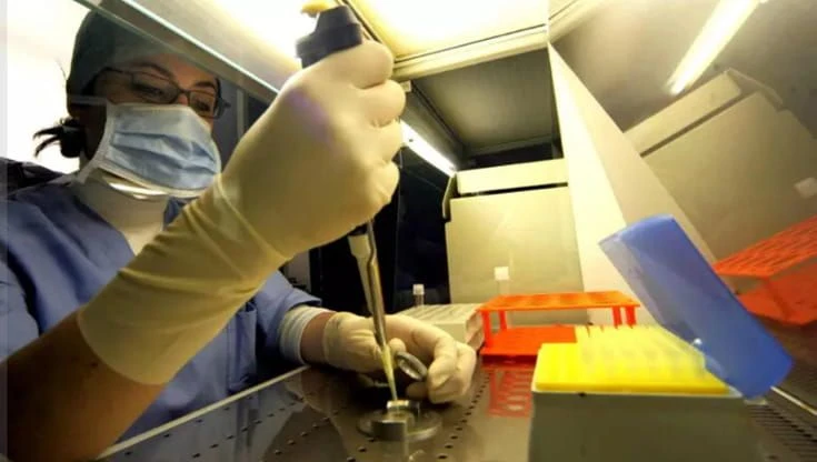 Infertilità di coppia può nascere anche nell’intestino