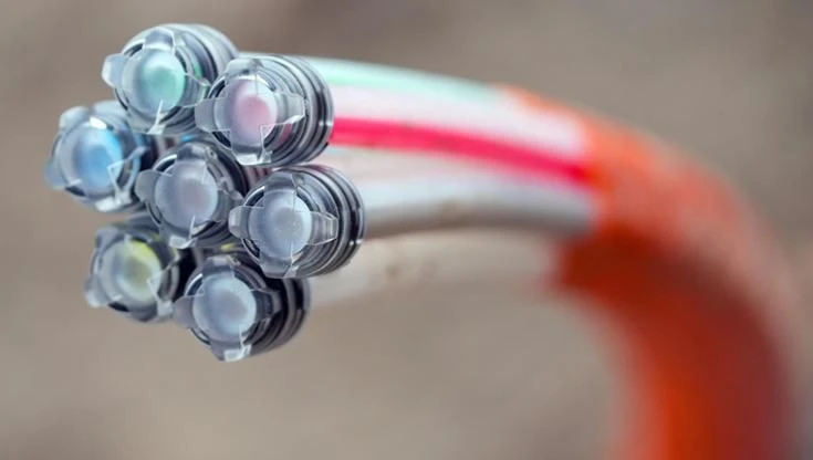 L’UE vuole cambiare il mercato di Internet. Critiche: “È il Cavallo di Troia dell’oligopolio”